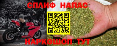 индика Краснознаменск