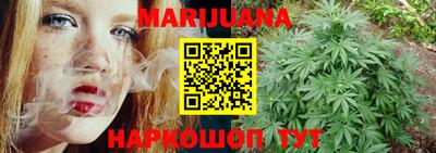 индика Краснознаменск